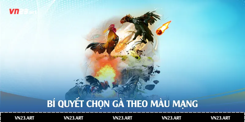 Bí quyết chọn gà theo màu mạng