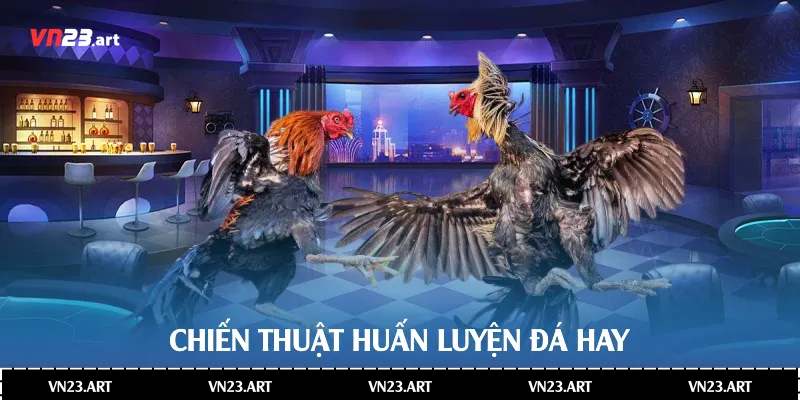 Đá Gà C1 - Khám Phá Chi Tiết Về Thế Giới Giải Trí Đỉnh Cao 4 Chiến thuật huấn luyện đá hay