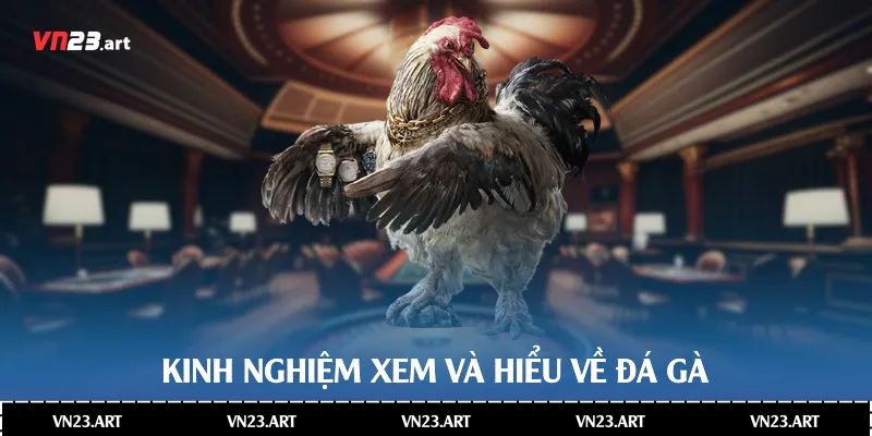 Đá Gà Thomo - Sức Hấp Dẫn Trong Văn Hóa Giải Trí Hiện Đại 4 Kinh nghiệm xem và hiểu về đá gà