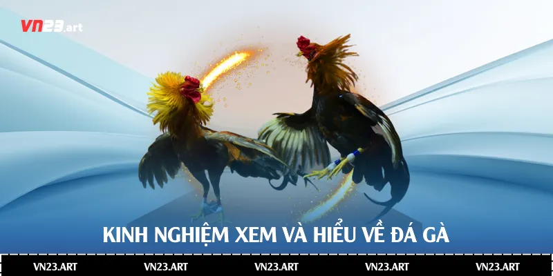 Đá Gà C1 - Khám Phá Chi Tiết Về Thế Giới Giải Trí Đỉnh Cao 3 Kinh nghiệm xem và hiểu về đá gà