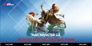 Màu Mạng Đá Gà