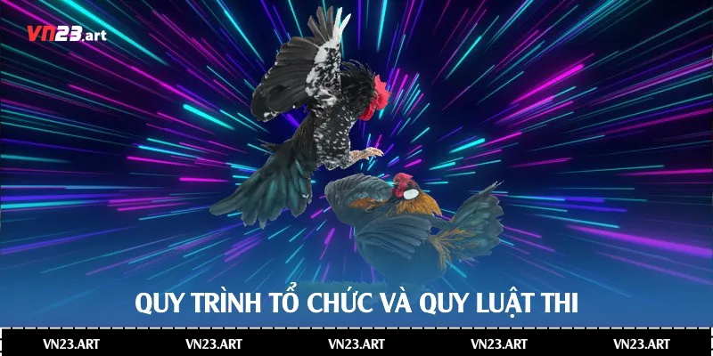 Đá Gà Thomo - Sức Hấp Dẫn Trong Văn Hóa Giải Trí Hiện Đại 3 Quy trình tổ chức và quy luật thi