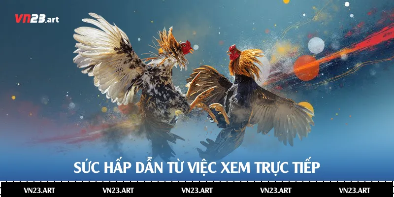 Sức hấp dẫn từ việc xem trực tiếp