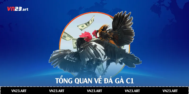 Đá Gà C1 - Khám Phá Chi Tiết Về Thế Giới Giải Trí Đỉnh Cao 2 Tổng quan về đá gà C1