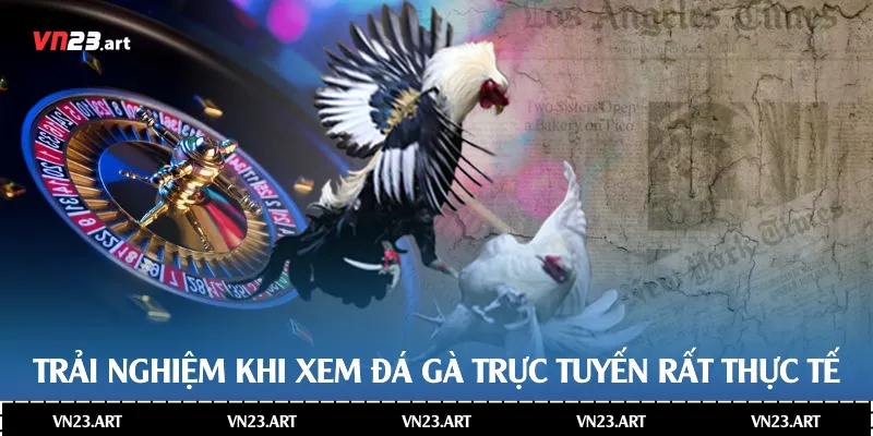 Trải nghiệm khi xem đá gà trực tuyến rất thực tế